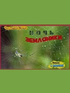 Сен  Весто  -  Ночь земляники  Аудиокнига